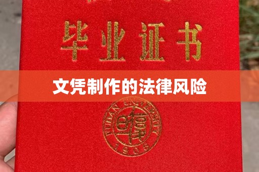 南郊文凭制作的法律风险